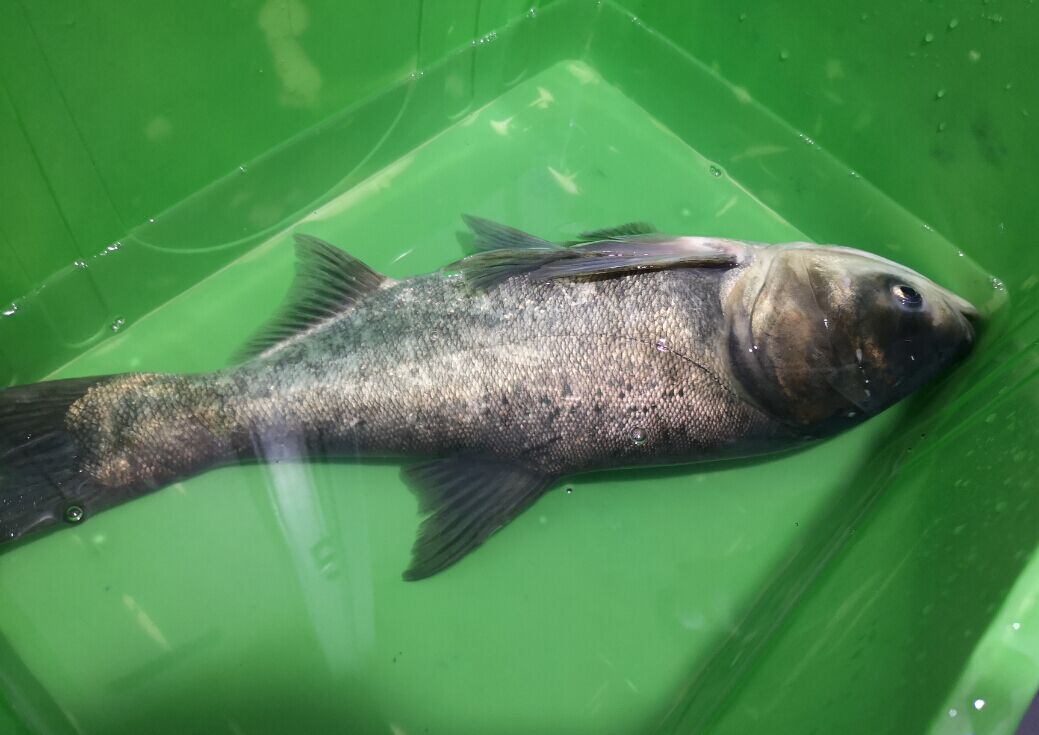 5cbaaf4a19d8d.jpg 5cbaaf4a19d8d.jpg