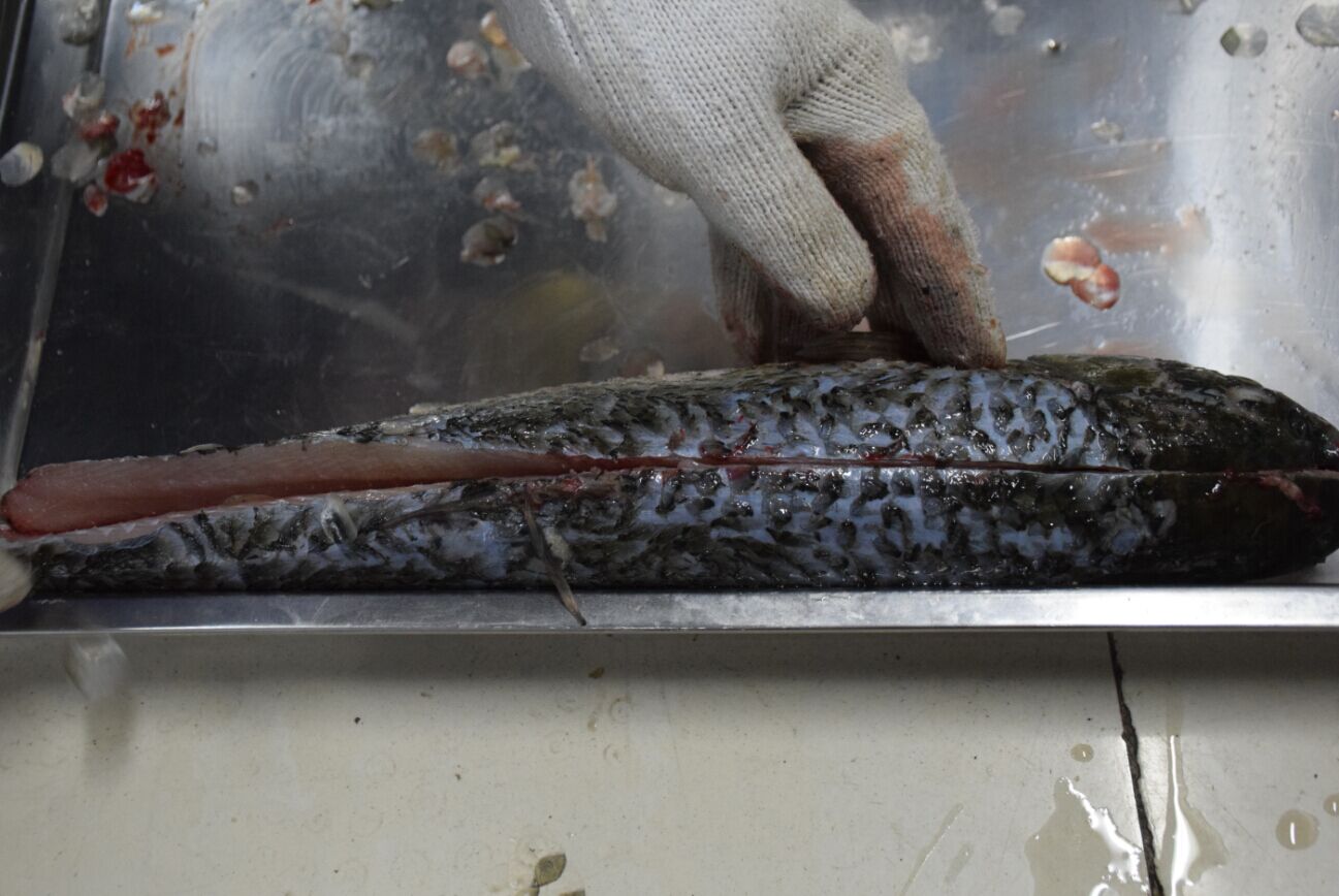 5cc66f6ddb1a1.jpg 5cc66f6ddb1a1.jpg