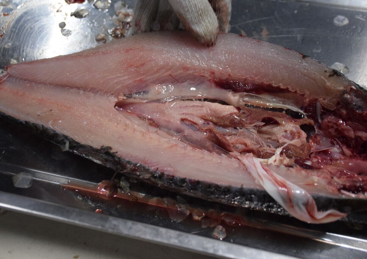 5cc66f6e41774.jpg 5cc66f6e41774.jpg