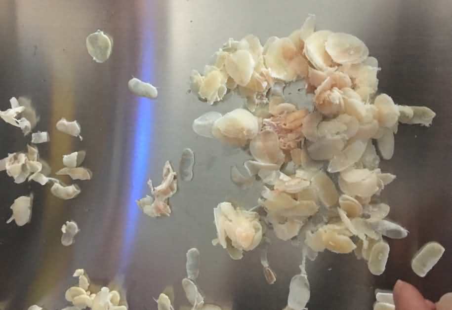 5ccd43c44dfaa.jpg 5ccd43c44dfaa.jpg