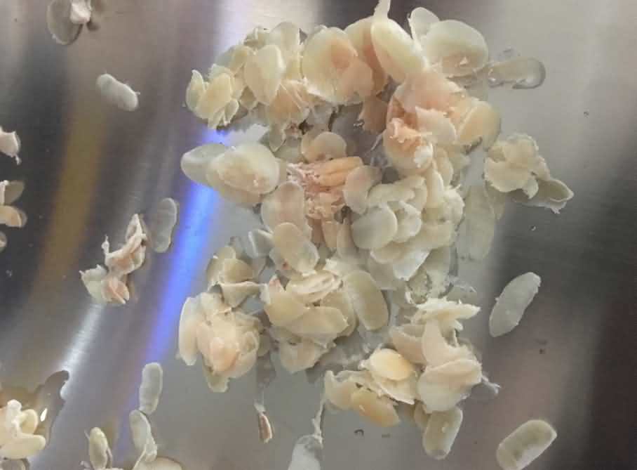 5ccd43c48ca33.jpg 5ccd43c48ca33.jpg