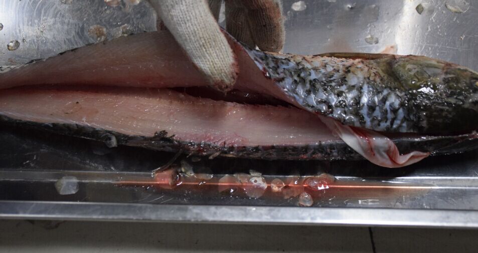 5cd2946425e46.jpg 5cd2946425e46.jpg