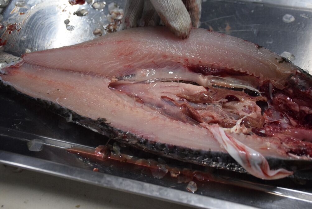 5cd2946457c31.jpg 5cd2946457c31.jpg