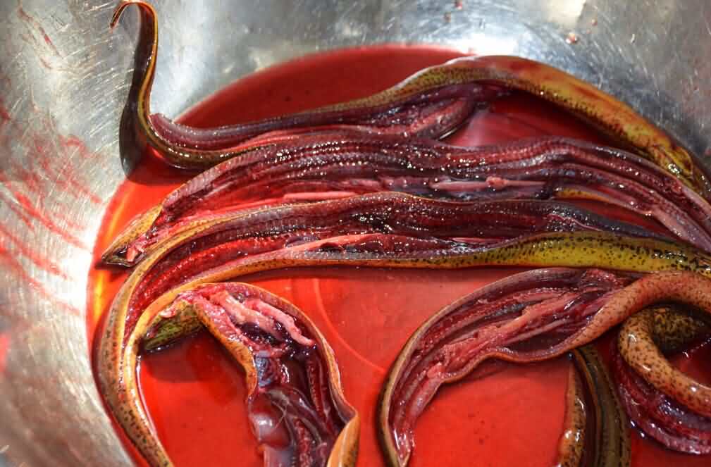 5cda7f5aba457.jpg 5cda7f5aba457.jpg