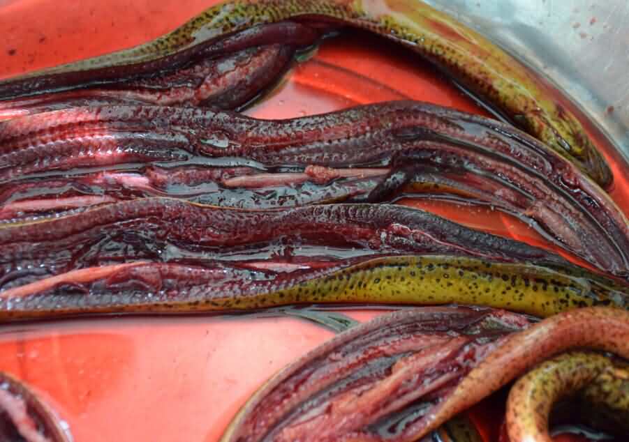 5cda7f5b062cb.jpg 5cda7f5b062cb.jpg