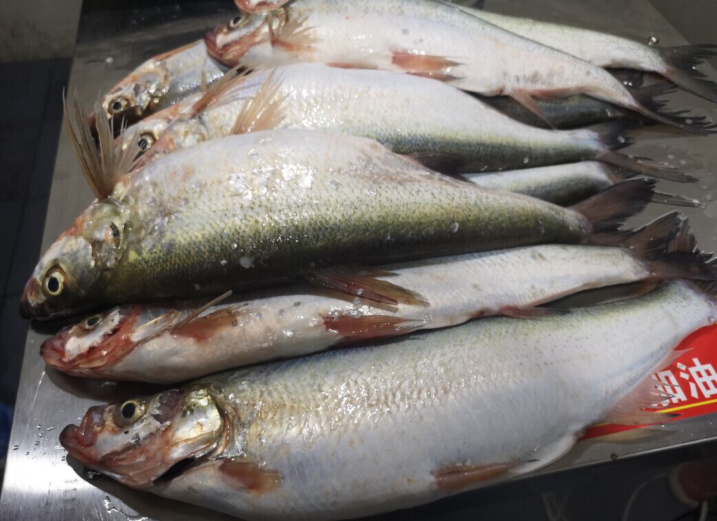 5cdbced4c4d54.jpg 5cdbced4c4d54.jpg