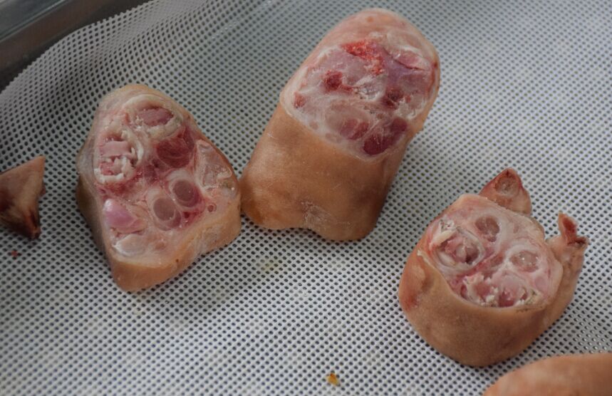 5d12d1b831ad7.jpg 5d12d1b831ad7.jpg