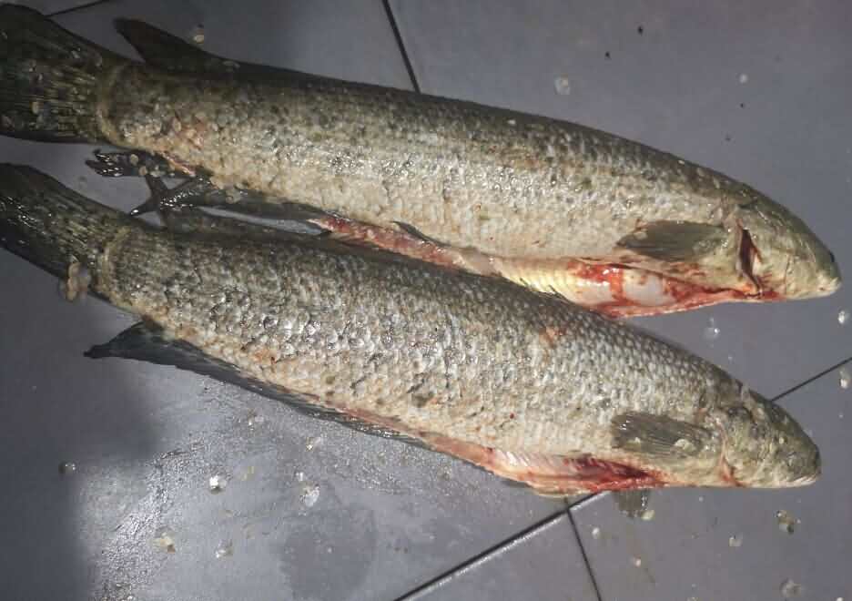 5d19c1ffa5881.jpg 5d19c1ffa5881.jpg