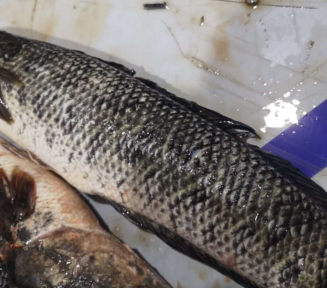 5d1eac077057e.jpg 5d1eac077057e.jpg