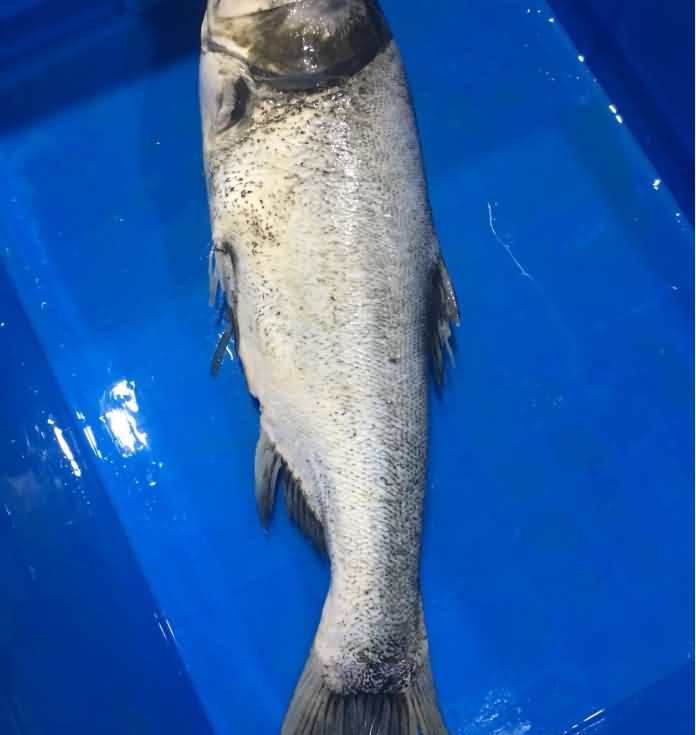 5d2053c1e7415.jpg QQ圖片20190706153220.jpg