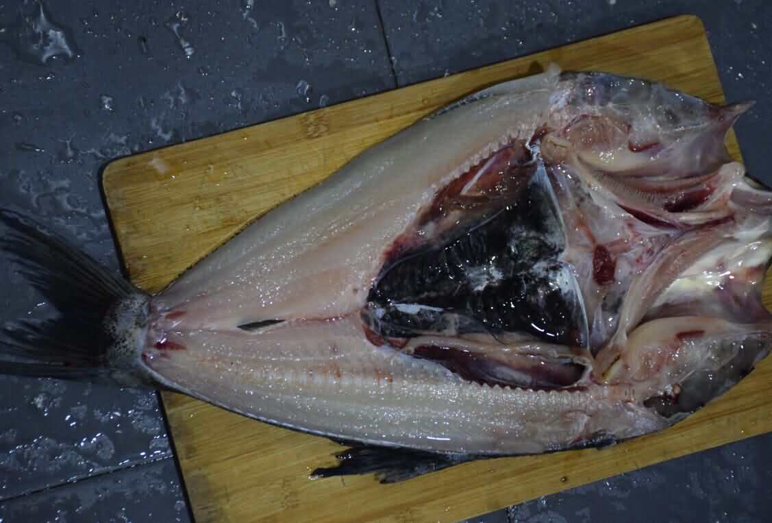 5d3fe1c9c9461.jpg 5d3fe1c9c9461.jpg