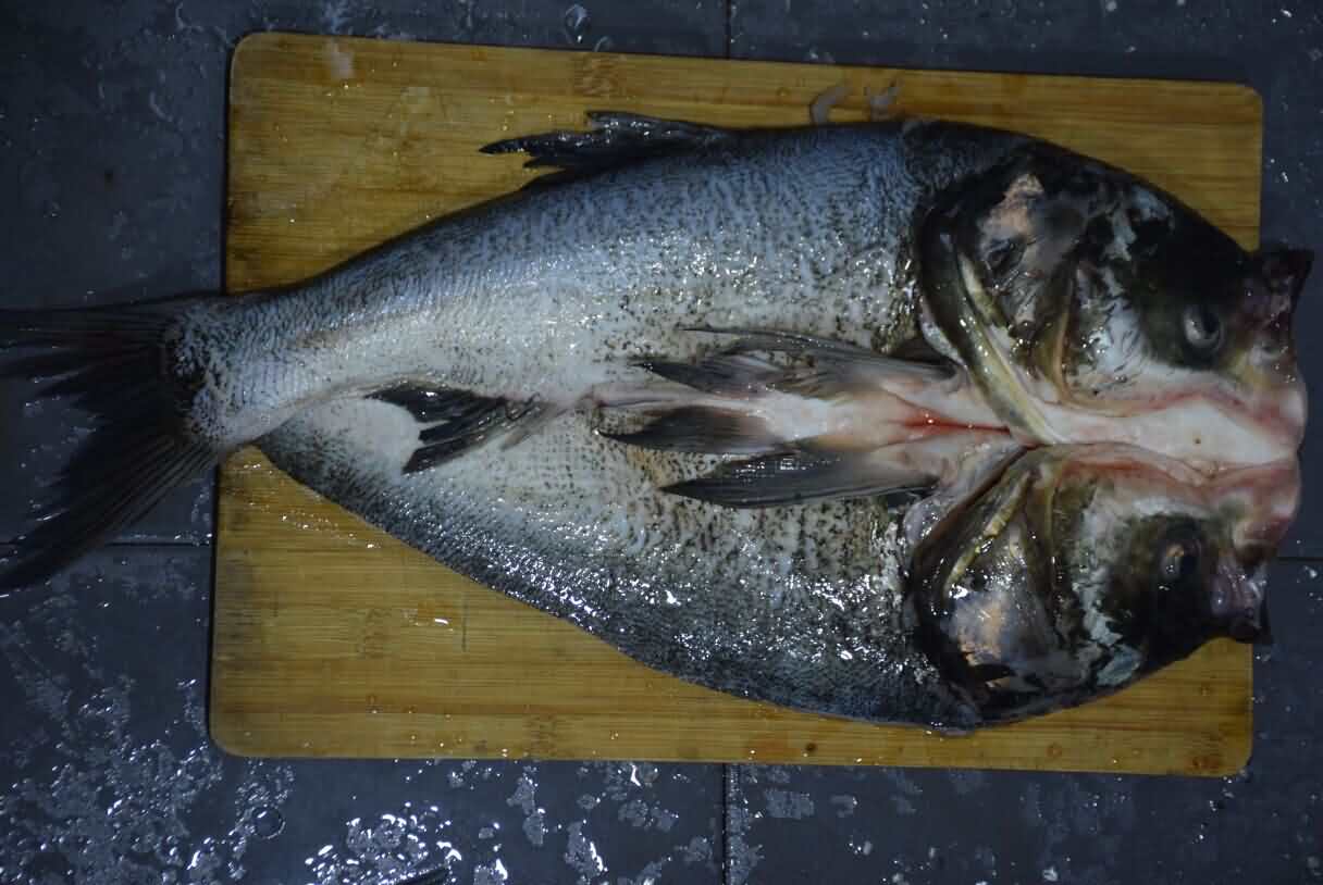 5d3fe1ca173a2.jpg 5d3fe1ca173a2.jpg