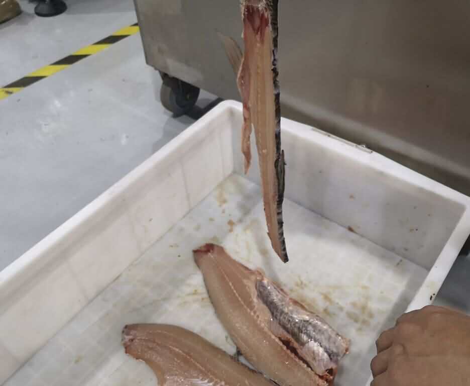 5d4ccdaf0bfa6.jpg 5d4ccdaf0bfa6.jpg