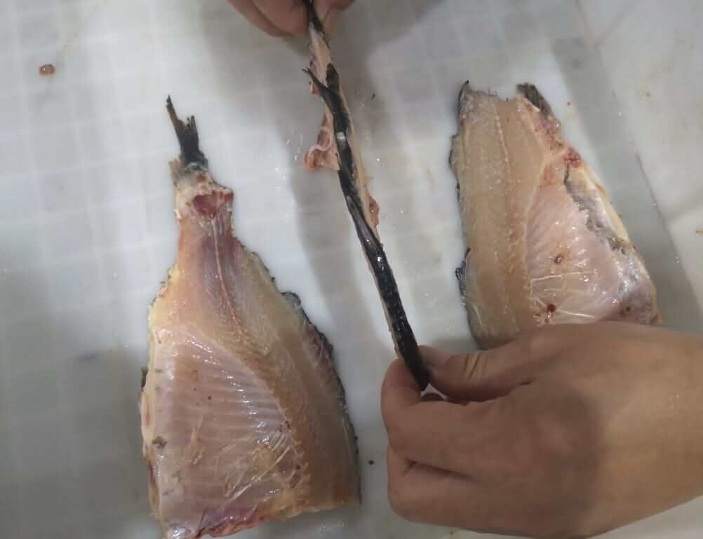 5d4ccdaf4db69.jpg 5d4ccdaf4db69.jpg