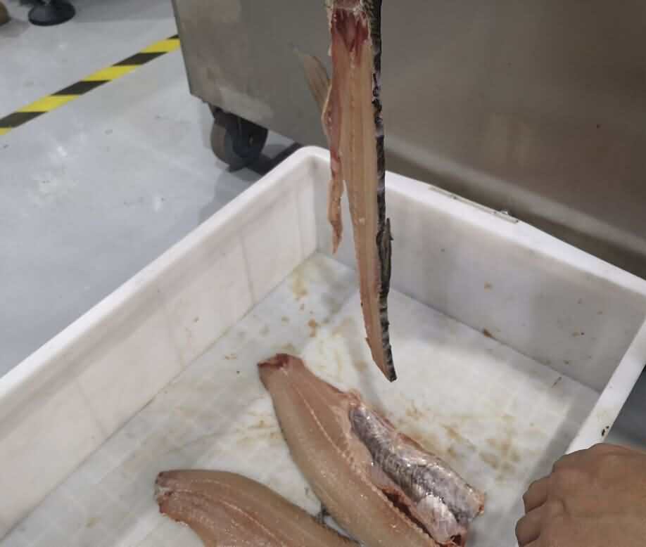 5d536672583b9.jpg 5d536672583b9.jpg