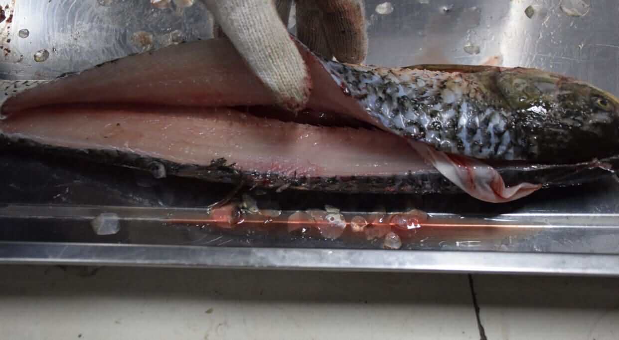 5d53735c72395.jpg 5d53735c72395.jpg