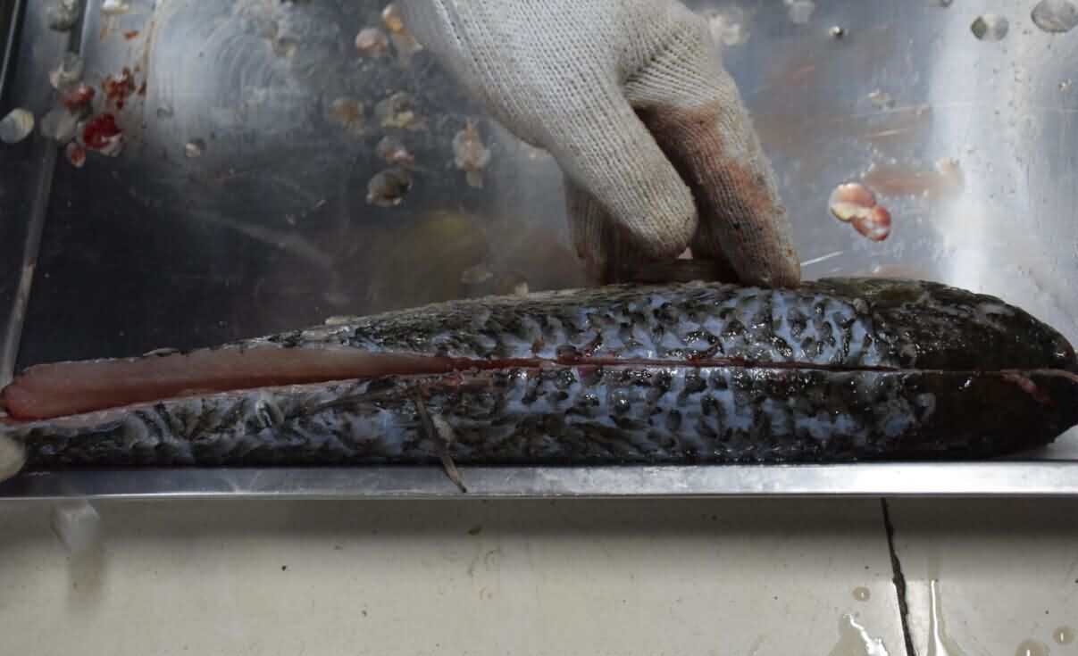 5d53735cbe4b8.jpg 5d53735cbe4b8.jpg