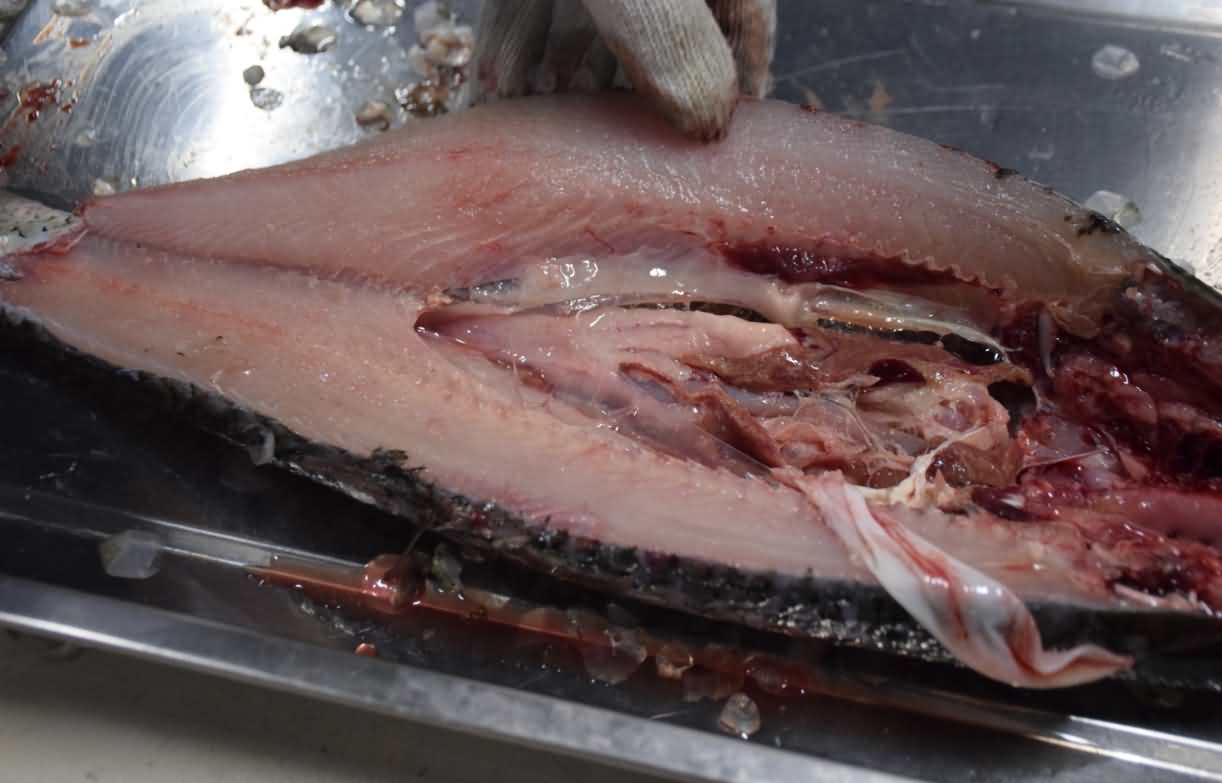 5d53735d0b6a2.jpg 5d53735d0b6a2.jpg