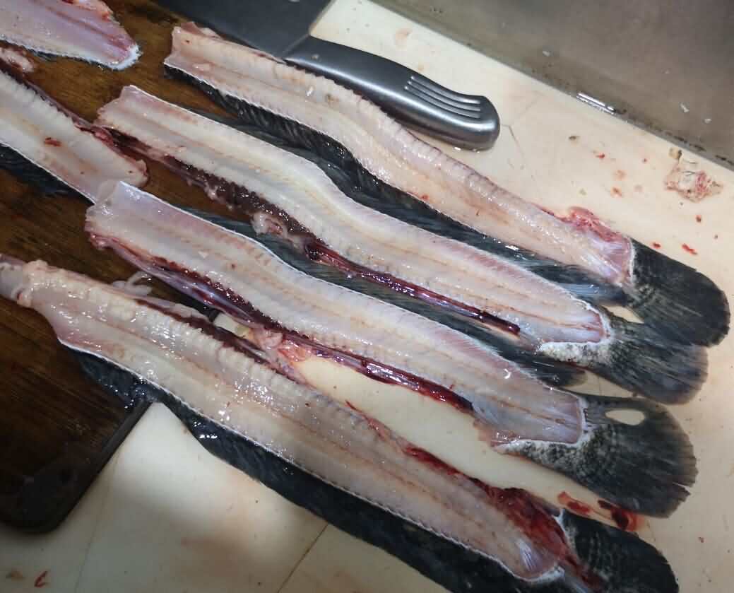 5d562739b0dda.jpg 5d562739b0dda.jpg