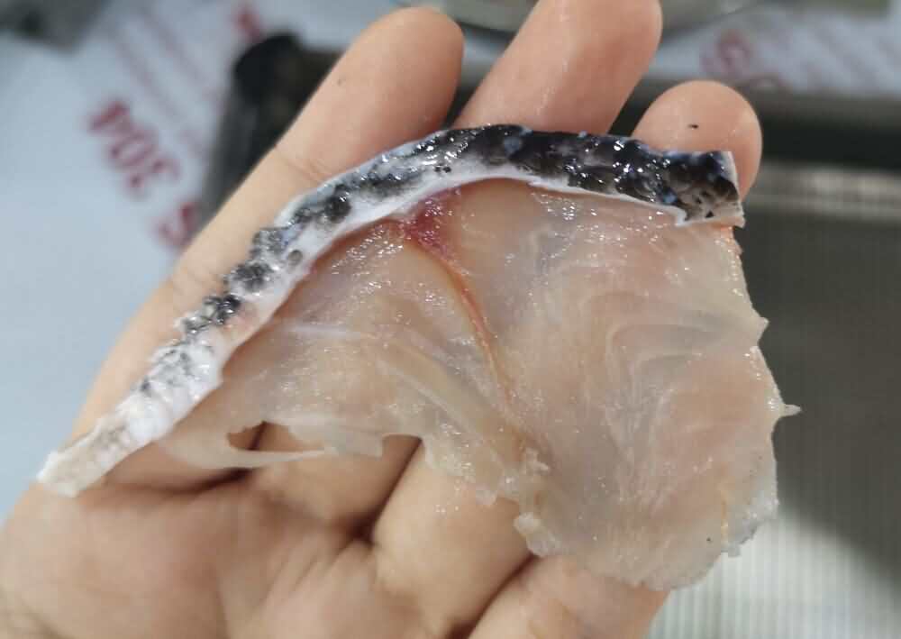 5d56273a5a7b1.jpg 5d56273a5a7b1.jpg