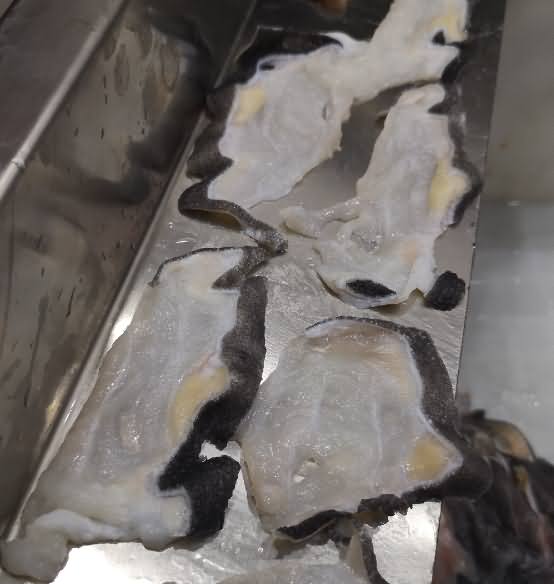 5d9e93d960610.jpg 5d9e93d960610.jpg