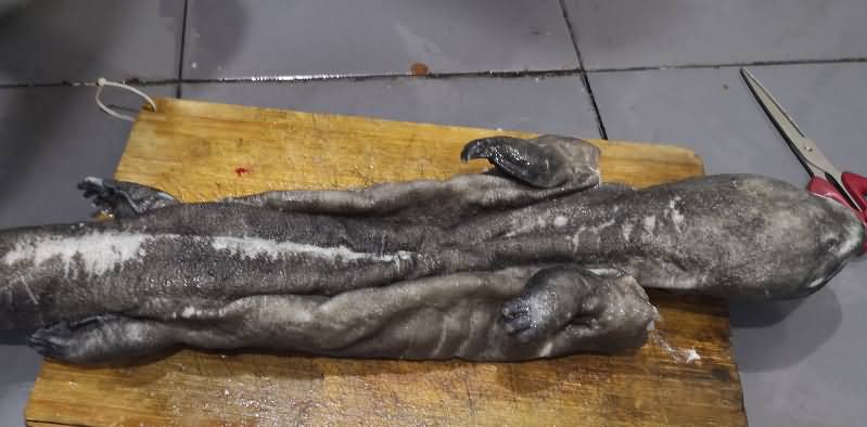 5d9e93db4514c.jpg 5d9e93db4514c.jpg