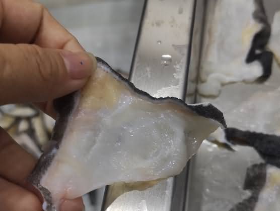 5d9e93dc28e69.jpg 5d9e93dc28e69.jpg