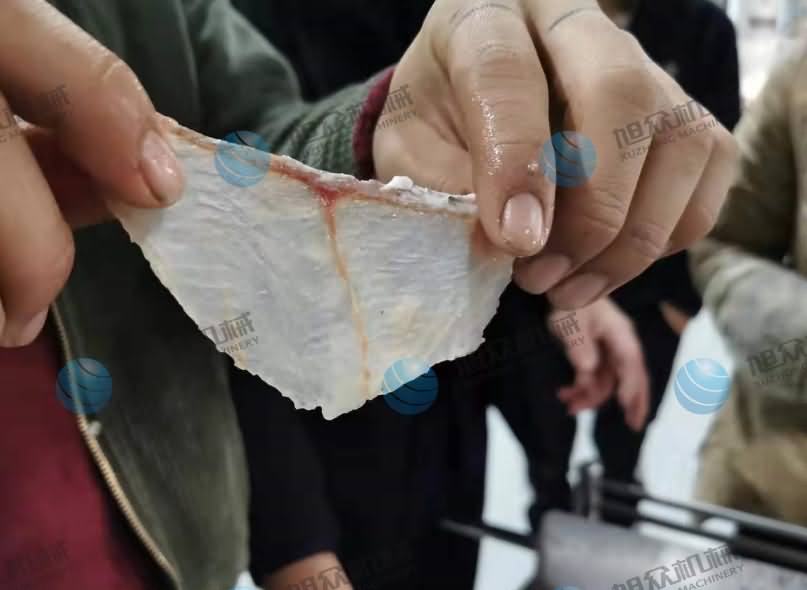 魚片機(jī)，片魚片機(jī)，片魚機(jī)，斜切魚片機(jī)，全自動魚片機(jī)