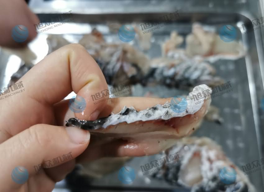 魚片機(jī)，片魚片機(jī)，片魚機(jī)，斜切魚片機(jī)，全自動魚片機(jī)