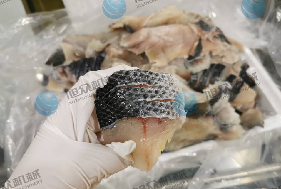 魚片機(jī)，片魚片機(jī)，全自動魚片機(jī)，商用片魚片機(jī)器，切魚片機(jī)