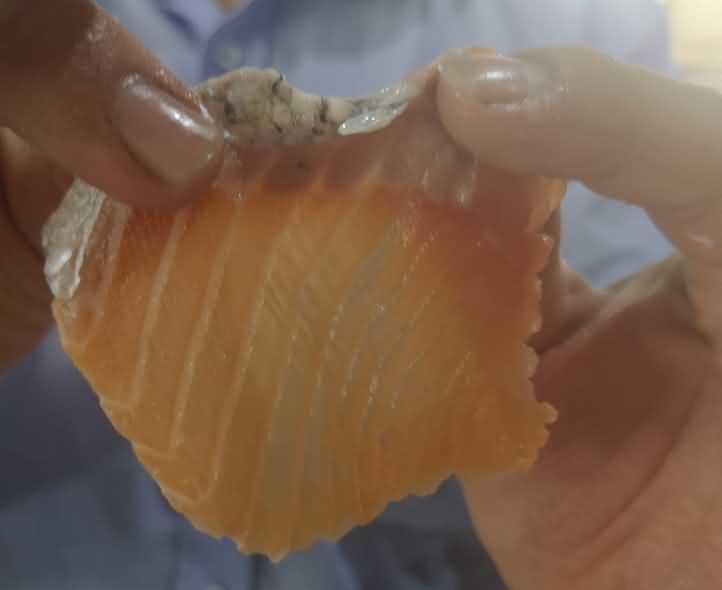 魚(yú)片機(jī)，自動(dòng)切魚(yú)片機(jī)，旭眾魚(yú)片機(jī)，多功能切魚(yú)片機(jī)，魚(yú)片機(jī)多少錢(qián)