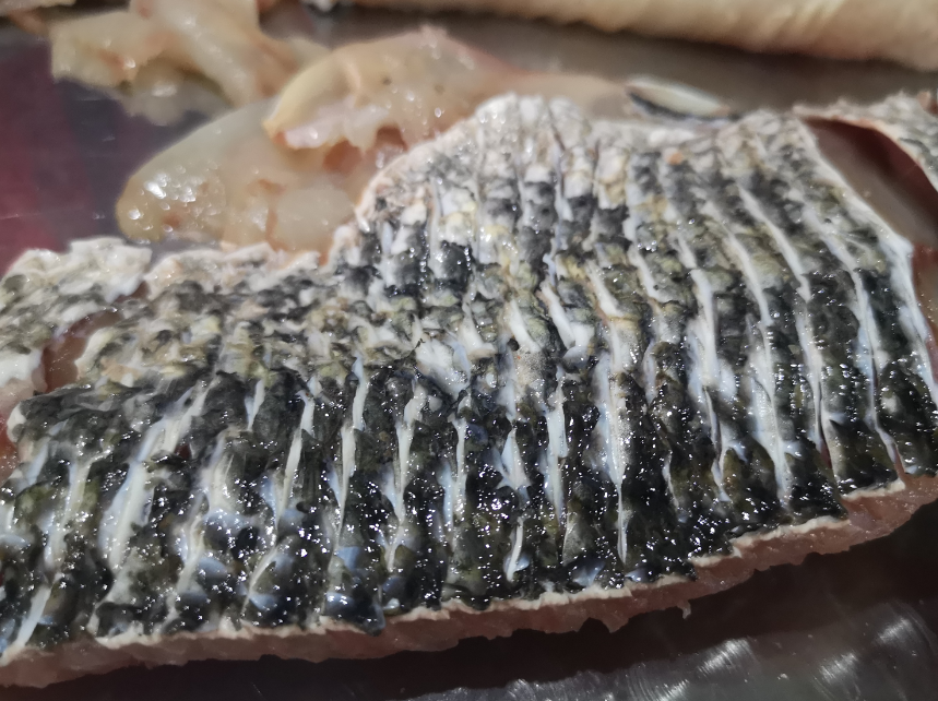 切魚片機(jī)，自動(dòng)切魚片機(jī)，片魚片機(jī)器，魚片機(jī)廠家，切魚片機(jī)多少錢