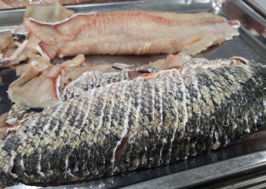 切魚片機(jī)，自動(dòng)切魚片機(jī)，片魚片機(jī)器，魚片機(jī)廠家，切魚片機(jī)多少錢