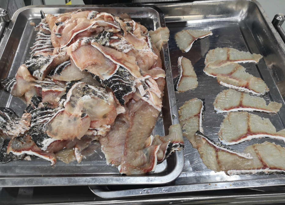 切魚片機(jī)，自動(dòng)切魚片機(jī)，片魚片機(jī)器，魚片機(jī)廠家，切魚片機(jī)多少錢