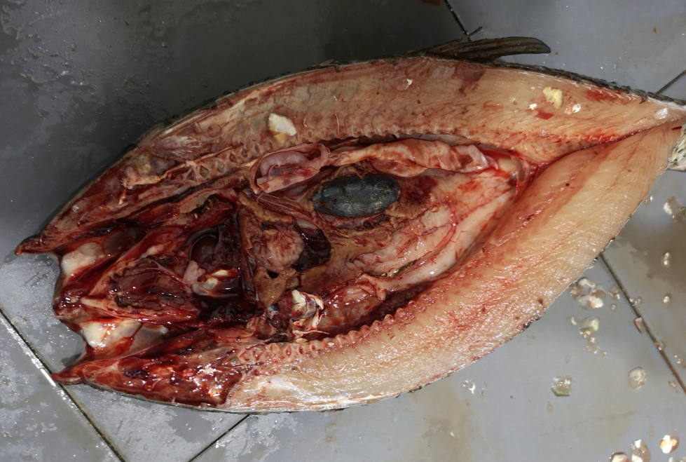 5f0c136bc480e.png 5f0c136bc480e.png