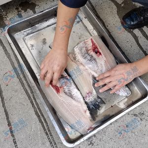 全自動(dòng)切魚片，去魚骨機(jī)
