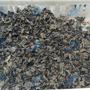 客戶烘干木耳反饋，空氣能烘干效果很不錯(cuò)!