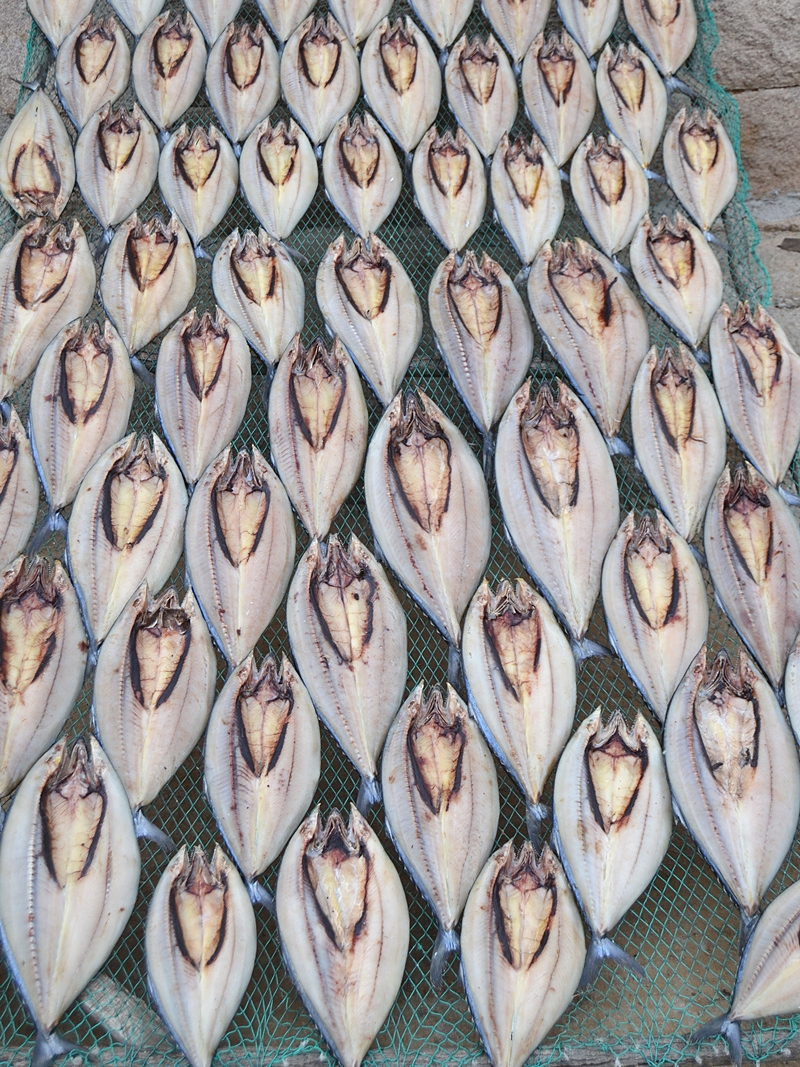 627b7cc7d0fc3.jpg O1CN01hBZ22w1FLlCRmbC9G_!!3326830471.jpg