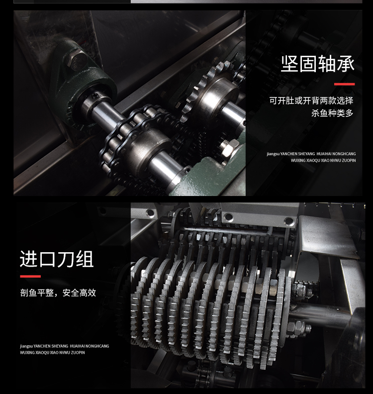 艾博馳ABCH-17開背去鱗殺魚機5