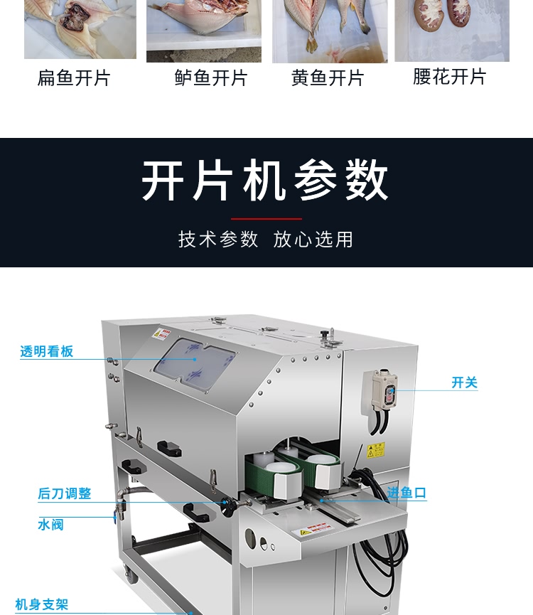艾博馳ABCH-KP2二枚開片殺魚機(jī)6
