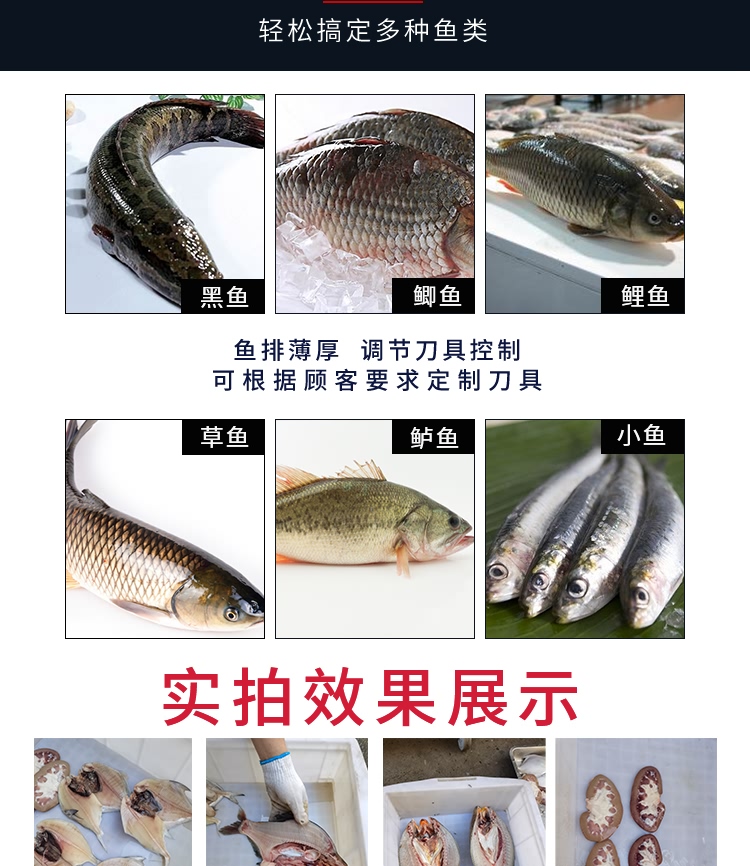 艾博馳ABCH-KP2二枚開片殺魚機(jī)5