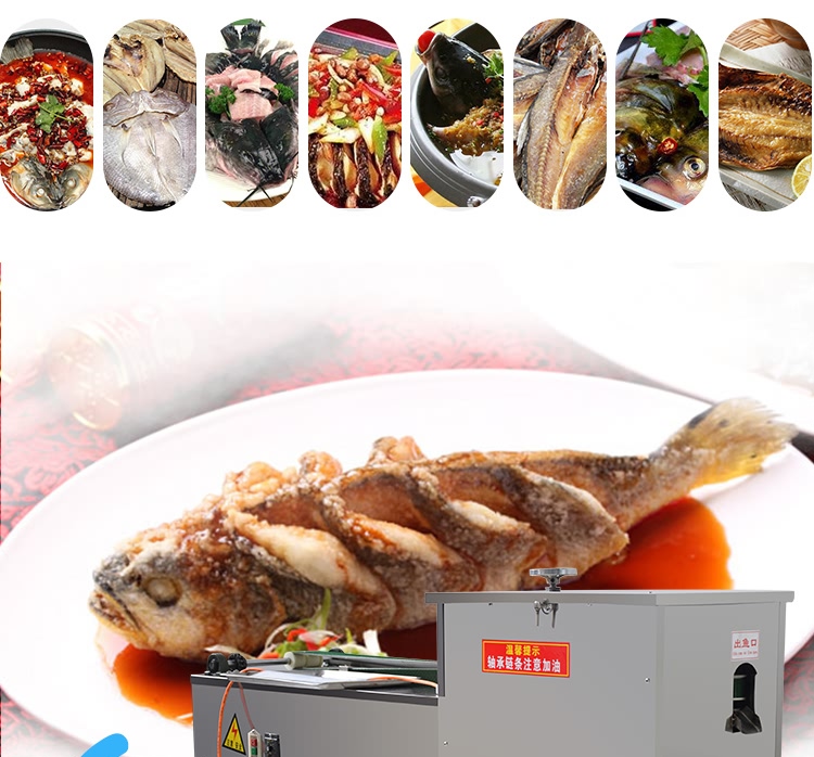 艾博馳ABCH-130L立式殺小魚機(去內(nèi)臟)8