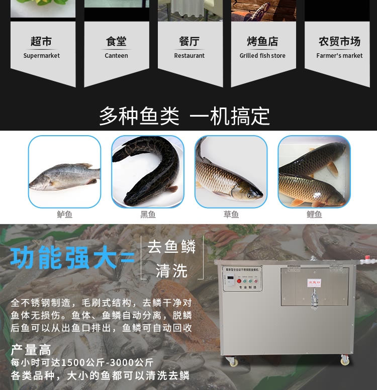 艾博馳ABCH-55去魚鱗機8