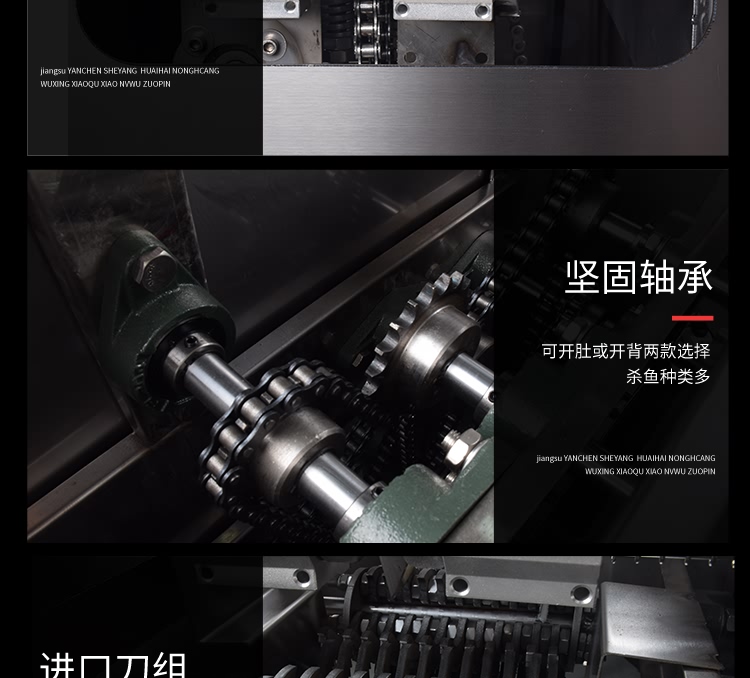 艾博馳牌ABCH-18開肚去鱗殺魚機5