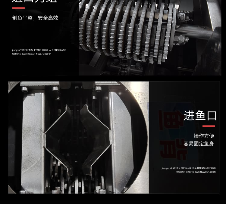 艾博馳牌ABCH-18開肚去鱗殺魚機6