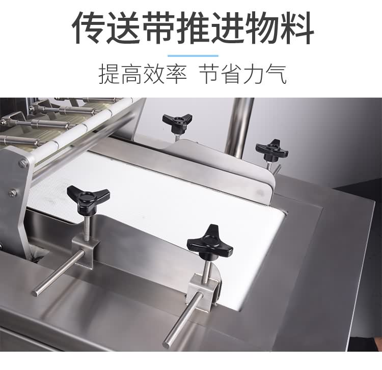 艾博馳ABCH-30魚禽類剁塊機(jī)4