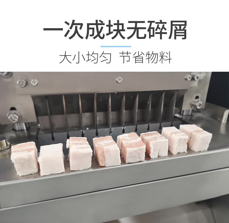 艾博馳ABCH-30魚禽類剁塊機(jī)5