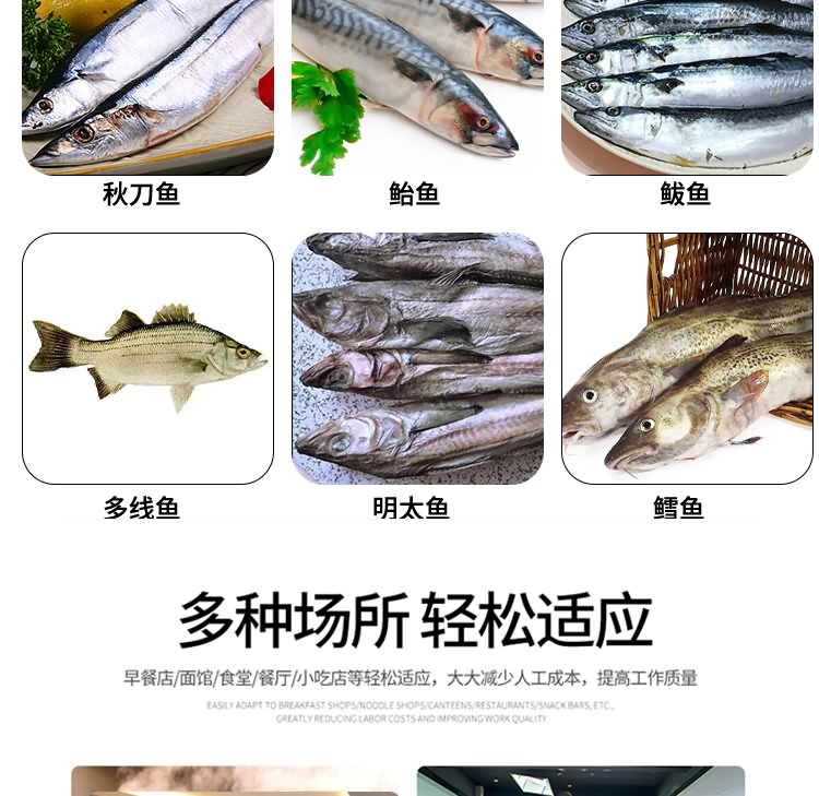 艾博馳ABCH-QT68去魚頭機10