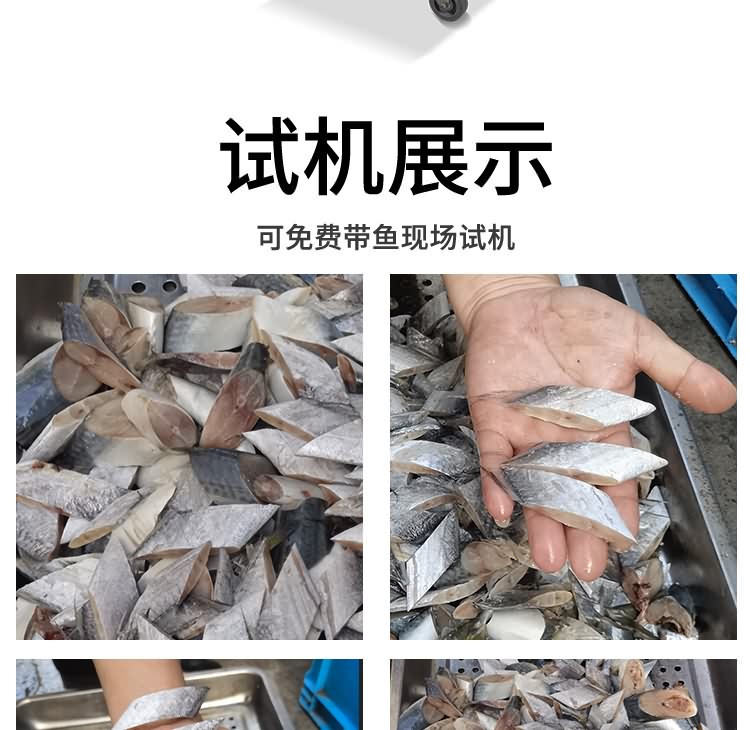 艾博馳ABCH-Q69切魚段機(jī)8