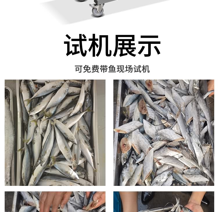 艾博馳ABCH-SQ69切魚段機(jī)(雙通道)8